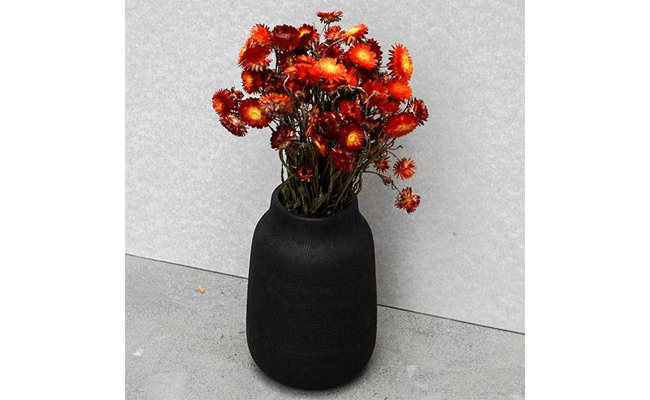 Tørrede-Blomster---Helichrysum,-Rød tørrede blomster dekorationer